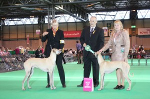 BOB_crufts_2012