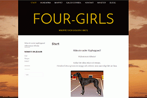 four_girls_port_1